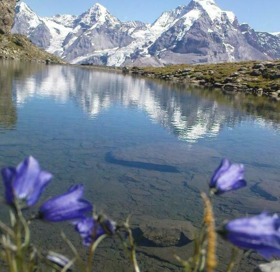 Pension Gimmelwald