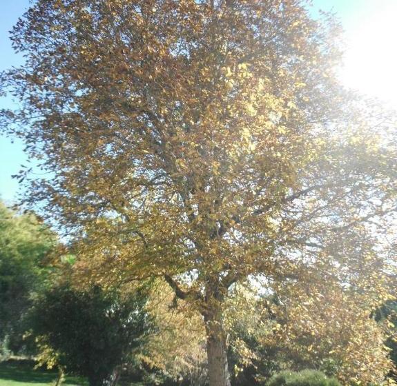 فندق Restaurant De La Poste