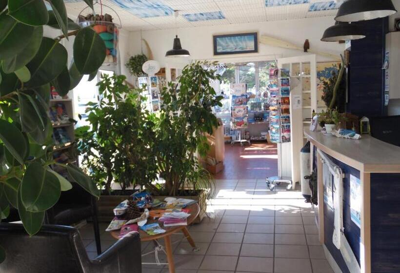 فندق Hôtel Du Petit Matelot