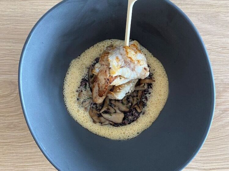 בית מלון כפרי Hôtel L Albatros