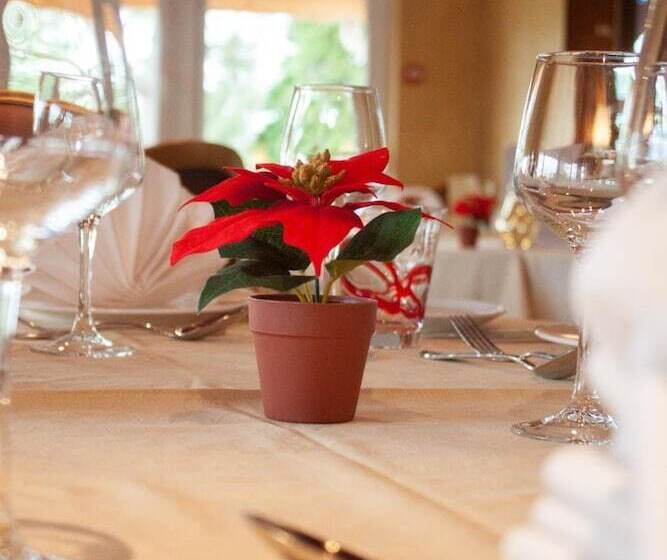 酒店 Relais Vosgien   Hôtel Restaurant La Table De Sophia