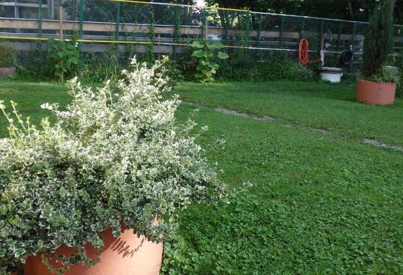 酒店 Hôtel Sud Alsace