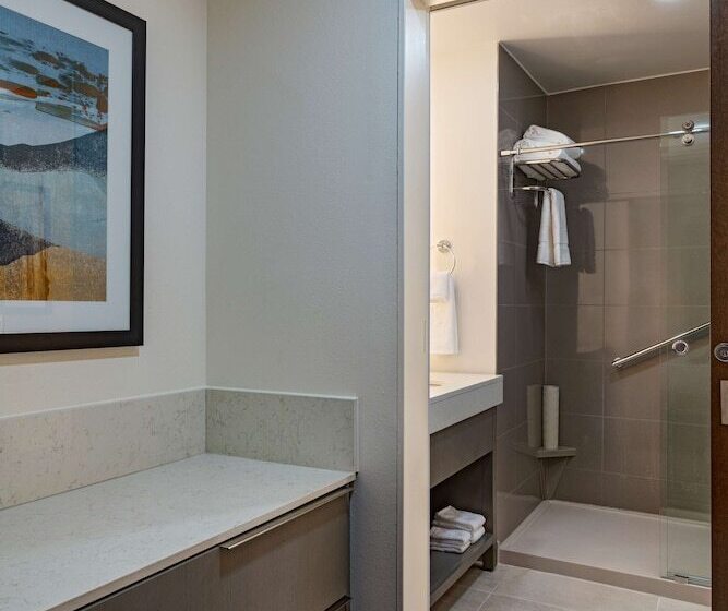 هتل Hyatt House Carlsbad