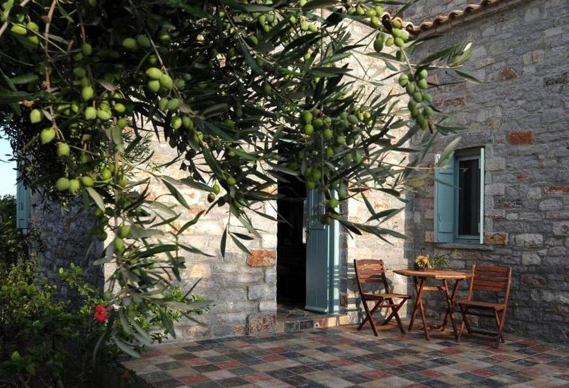 بنسيون Palaeopoli Villas