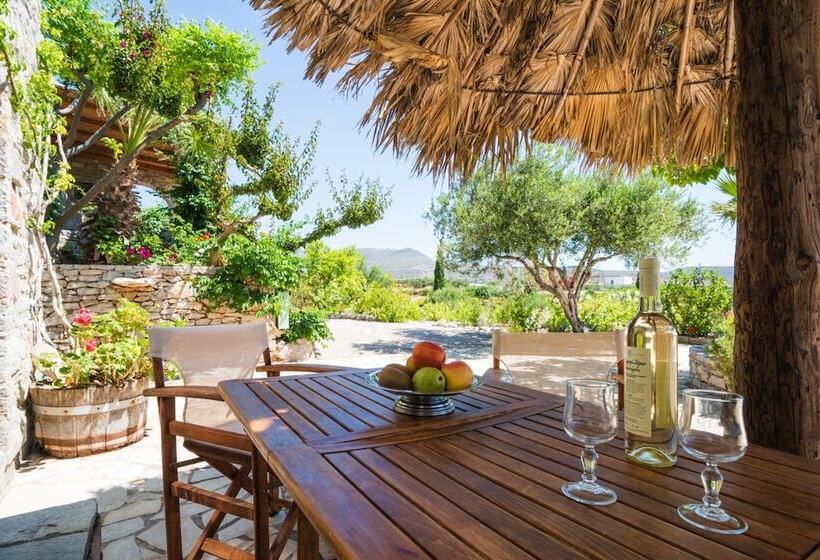 بنسيون Palaeopoli Villas