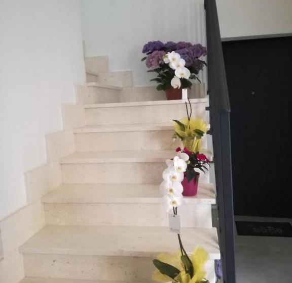 مبيت وإفطار Adagiostay