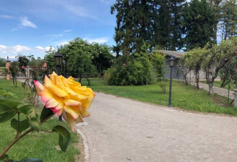 민박 Villa Bonelli Bed & Fest