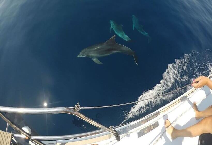 مسافرخانه Delfina