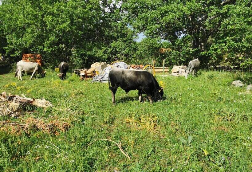 هتل روستایی Tenuta Tedone Consolini