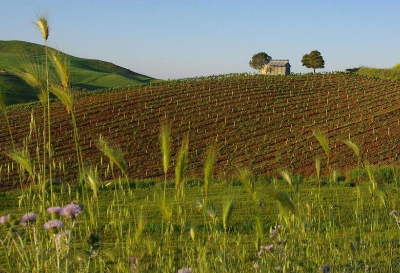 B&b Polvere Di Stelle