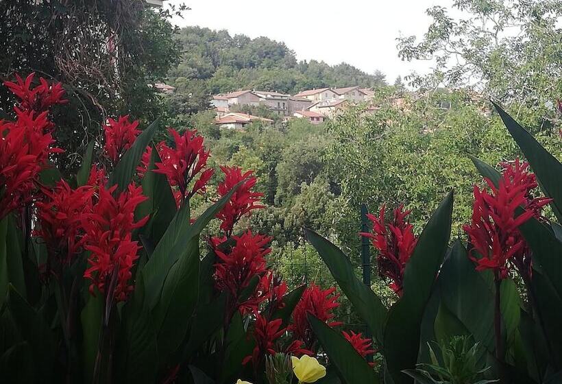 Agrifoglio B&b Con Giardino