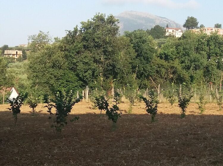 ベッドアンドブレックファースト L Arcadia