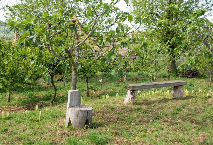 ベッドアンドブレックファースト L Arcadia