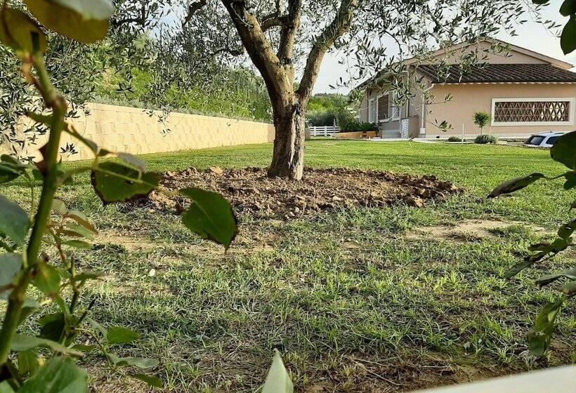 مبيت وإفطار Le Mammole
