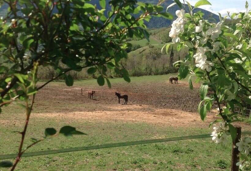 فندق ريفى Agriturismo Le Sorgenti