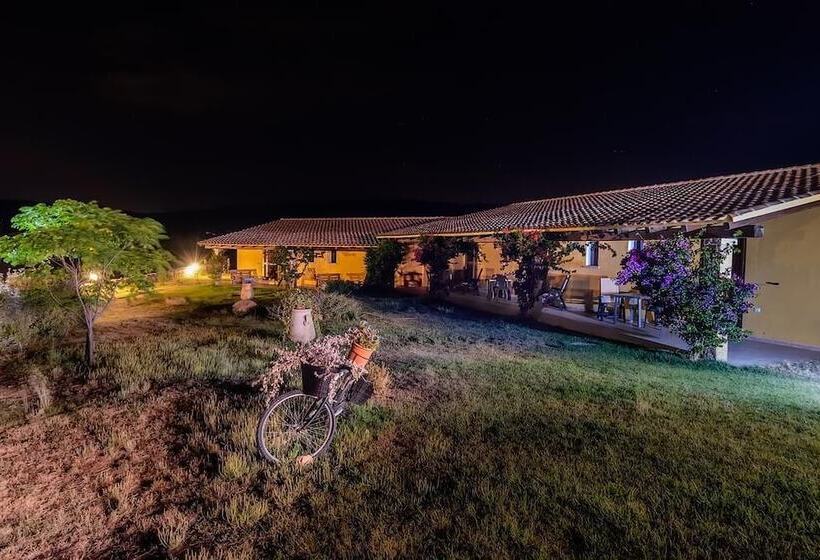 교외 호텔 Agriturismo Lu Nodu
