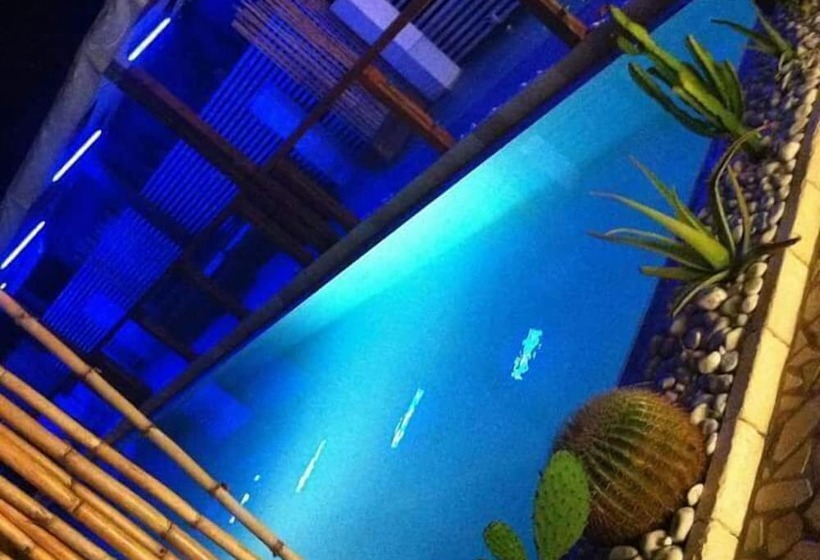 Biancopineta B&b
