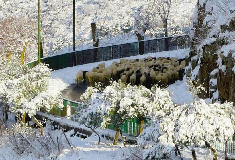 צימר Porta Baciamano