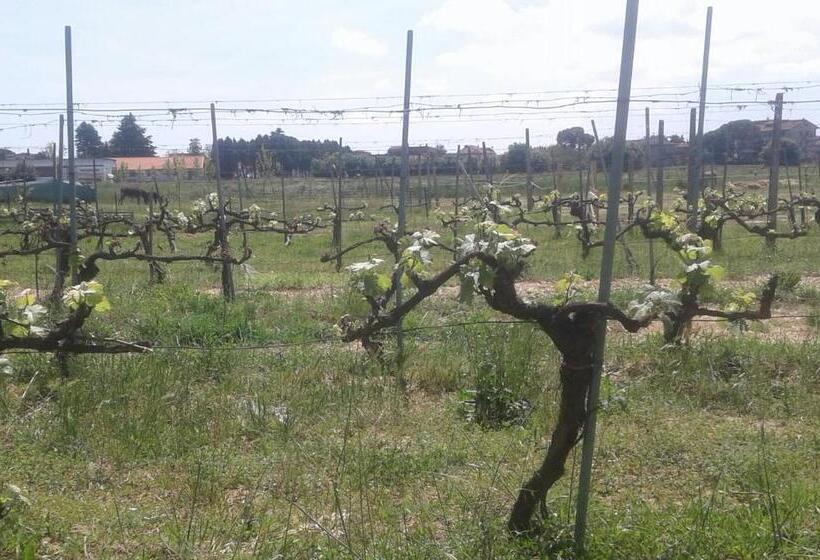 膳宿费 Podere Alberello