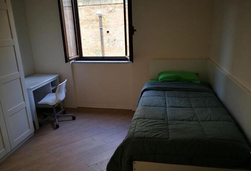 تختخواب و صبحانه Backpackers