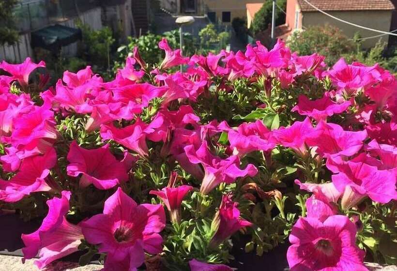 住宿加早餐  Il Capriolo  Bed&breakfast
