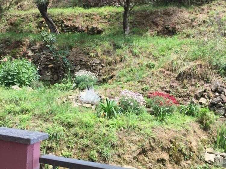 住宿加早餐  Il Capriolo  Bed&breakfast