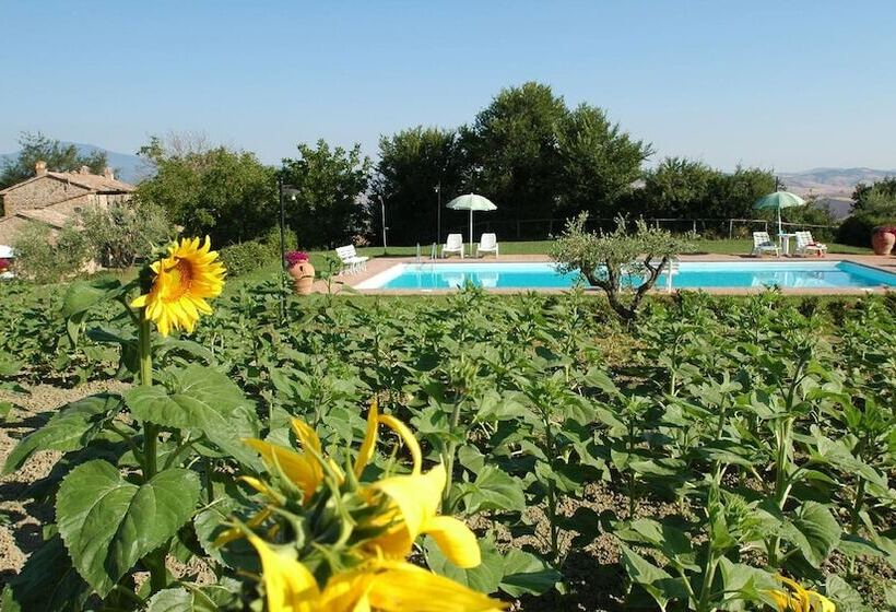 교외 호텔 Agriturismo Poggio Porsenna