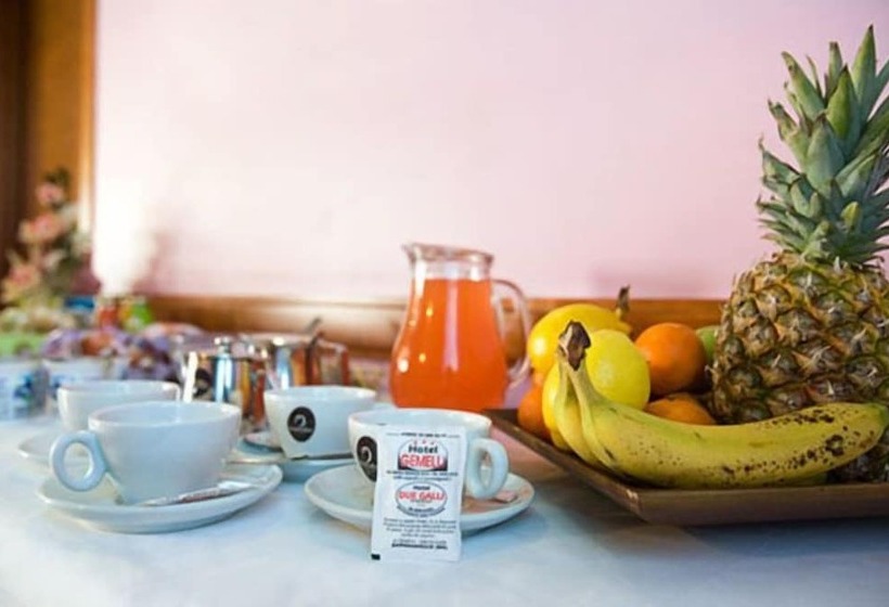 בית מלון כפרי Gemelli