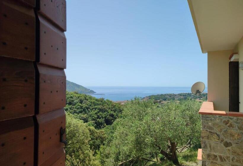 مبيت وإفطار Altana