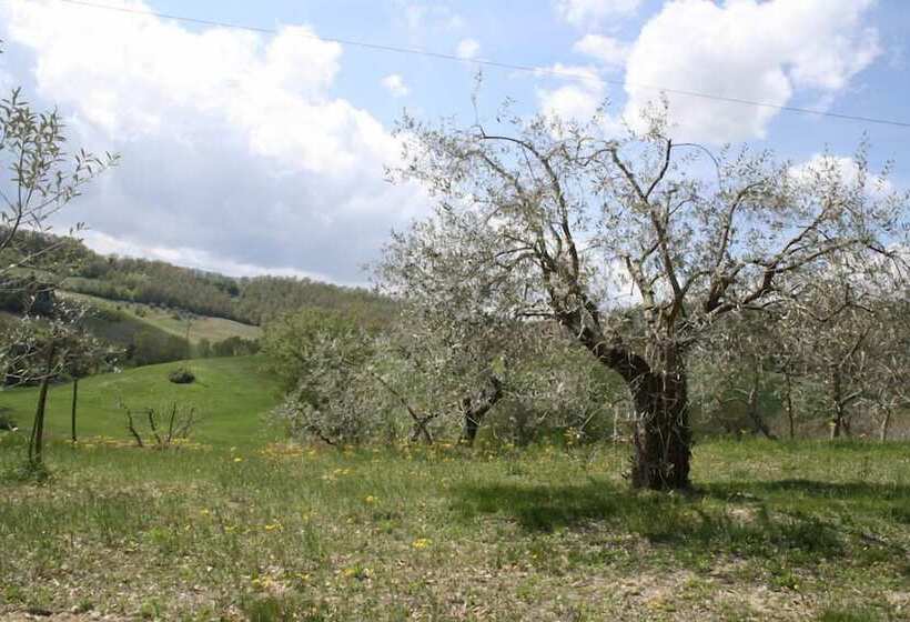 בית מלון כפרי Podere Della Bruciata B&b