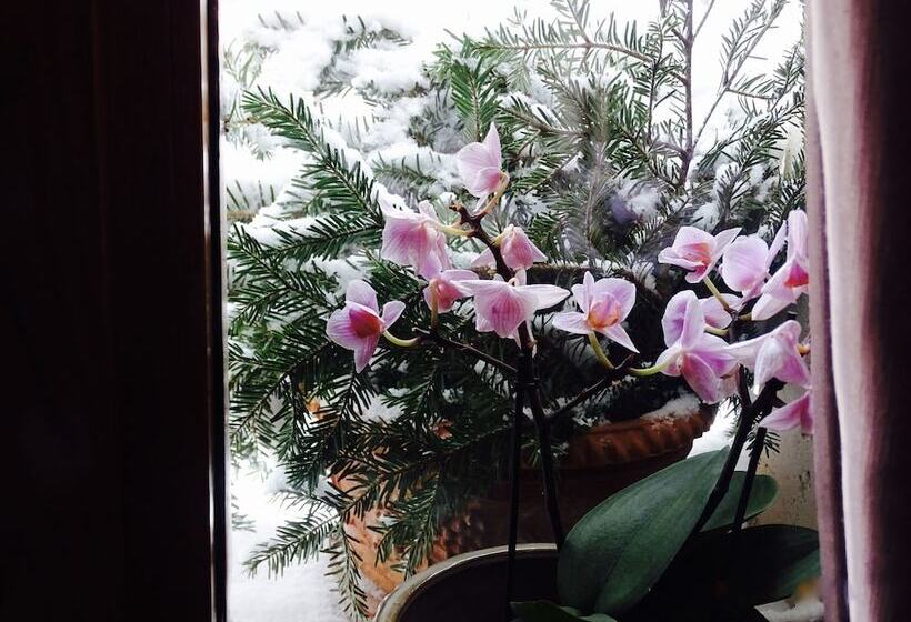 فندق Archi Del Sole & San Rocco