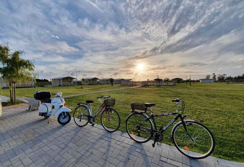 Отель Vento Etrusco   Camping