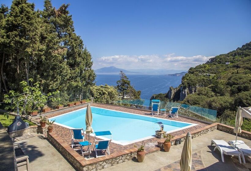تختخواب و صبحانه Suite Villa Carolina