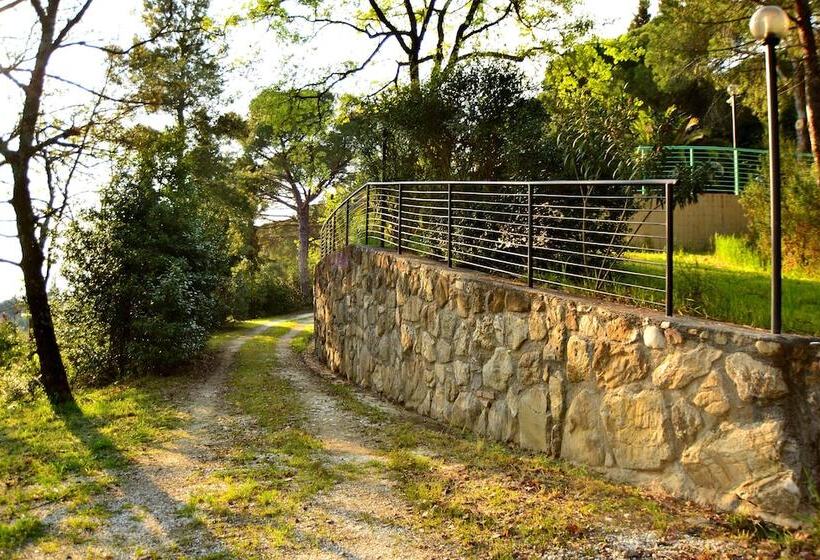 בית מלון כפרי Agriturismo Poggio Al Pino