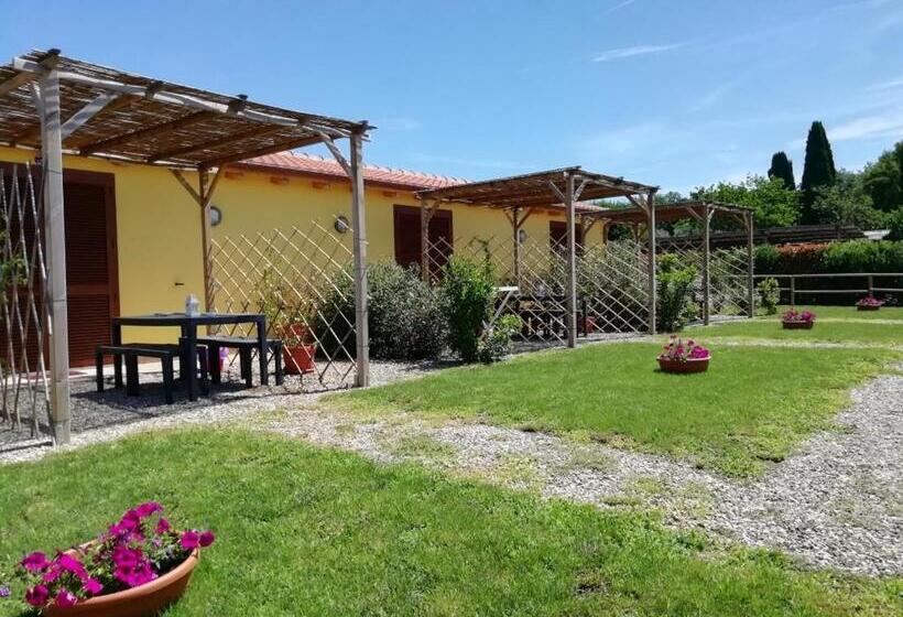 مبيت وإفطار Il Melarancio