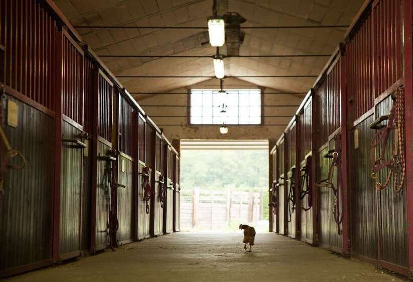 فندق ريفى Agriturismo Fano S Farm