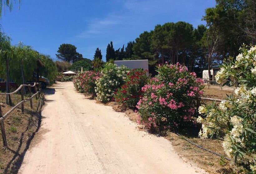 مبيت وإفطار Villa Panoramica Sul Mare