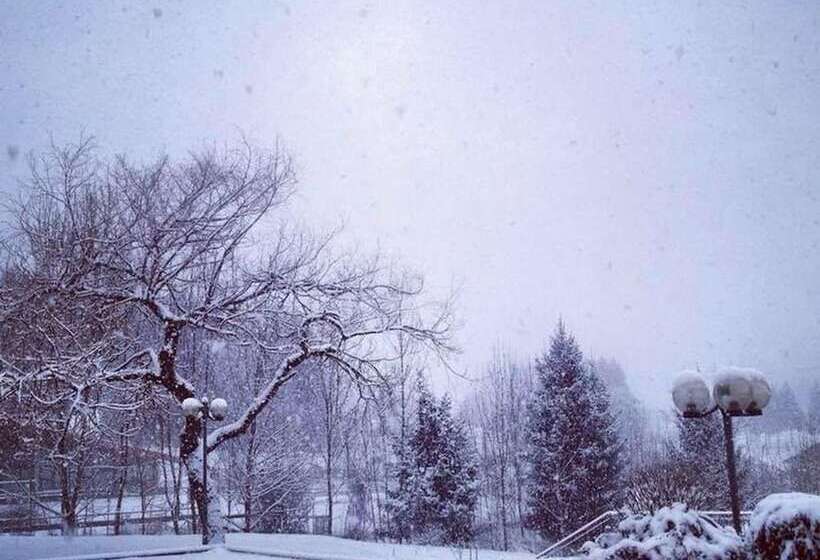 فندق Sorgente Borno