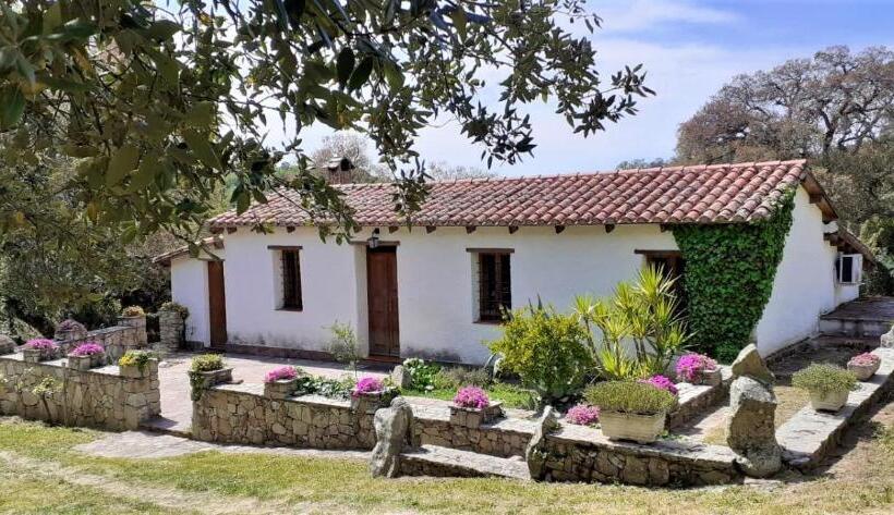 B&b I Menhir
