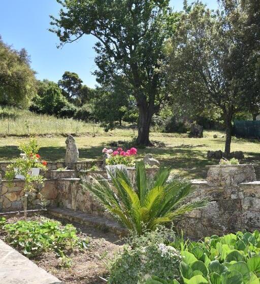 B&b I Menhir