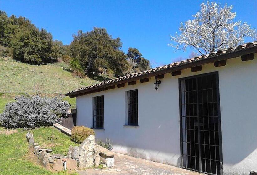 B&b I Menhir