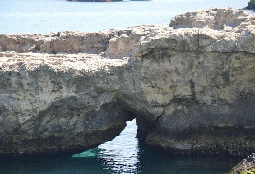 B&b Il Geranio