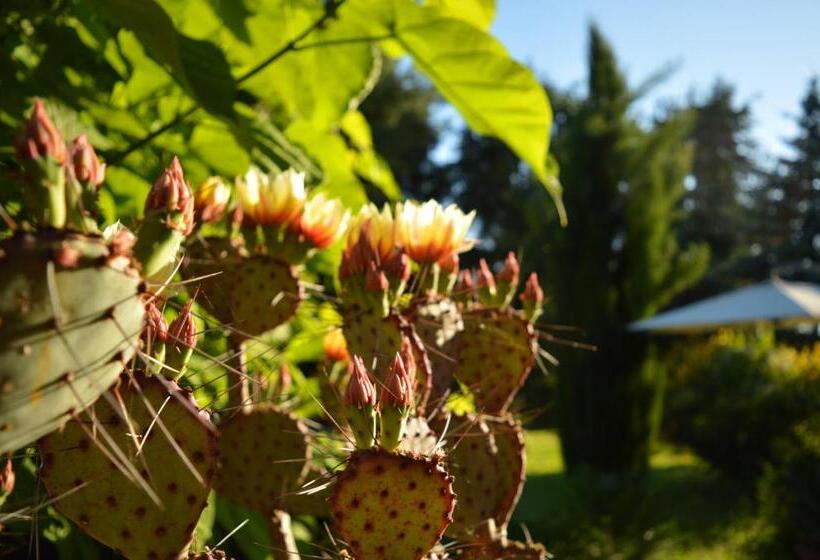 مبيت وإفطار Bed & Tours Dimora Di Campagna