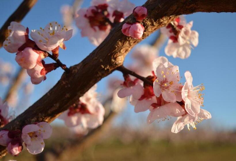 مبيت وإفطار Bed & Tours Dimora Di Campagna