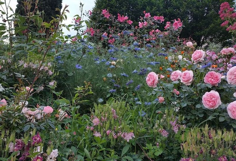 Bed and Breakfast Il Lago Racconta