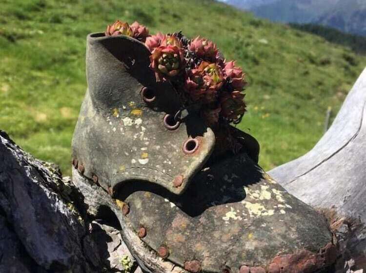 هتل Mair Am Turm
