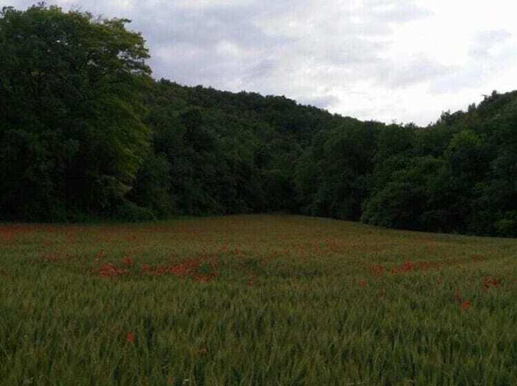 مبيت وإفطار Il Casale Di Colli Sul Velino
