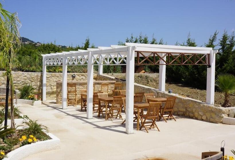 مبيت وإفطار Villa Delle Palme Delfina