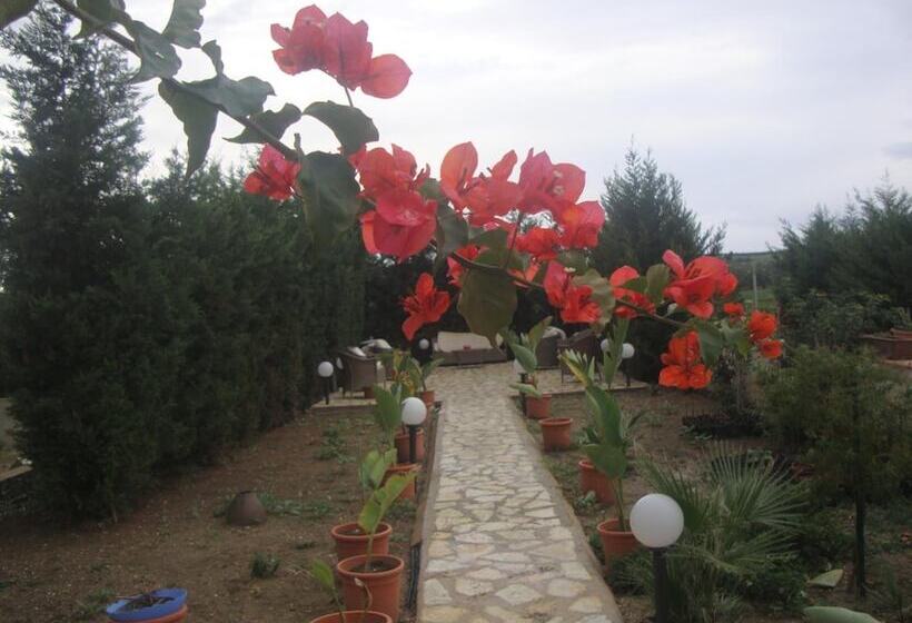 مبيت وإفطار Villa Delle Palme Delfina