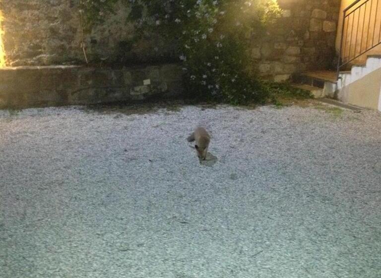 ベッドアンドブレックファースト Locanda La Corte